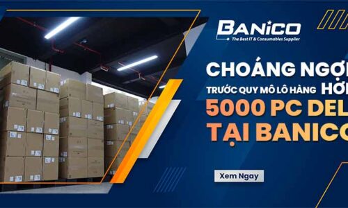 Choáng ngợp trước quy mô lô hàng hơn 5000 PC Dell tại Banico