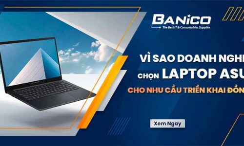 Vì sao doanh nghiệp chọn laptop ASUS cho nhu cầu triển khai đồng bộ?
